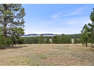 8653 N Teacup Rd Elbert, CO 80106