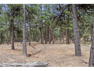 8653 N Teacup Rd Elbert, CO 80106