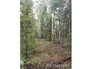 4 8th St Jasper, CO 81132