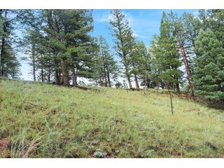 131 Lost Lake Cir Divide, CO 80814