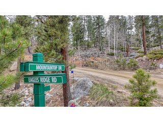 30176 Mountaintop Dr Buena Vista, CO 81211