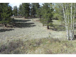 1699 Monarch Dr Cripple Creek, CO 80813