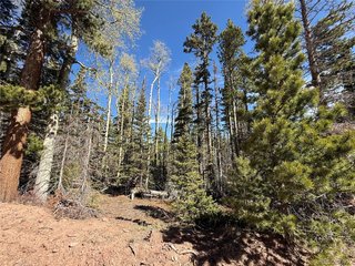 3408 Drexler Pl Fort Garland, CO 81133