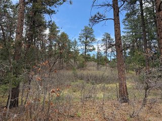 4885 Red Rock Dr Larkspur, CO 80118