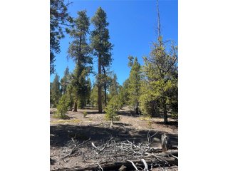 266 Ponderosa Dr Leadville, CO 80461