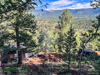 272 Wise Rd Bailey, CO 80421