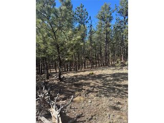 642 Matterhorn Dr Florissant, CO 80816
