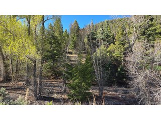 5475 Joy Rd Fort Garland, CO 81133