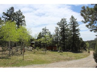 234 Panorama Dr Bailey, CO 80421