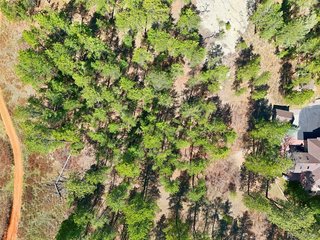 4507 Cheyenne Dr Larkspur, CO 80118