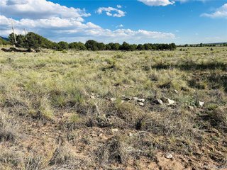 (TBD) Lots 2-3 Blk 59 Crestone, CO 81131