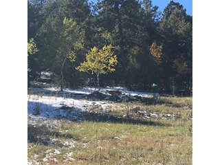 14745 Wetterhorn Peak Trl Pine, CO 80470