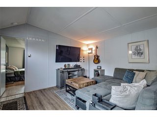 56 Magnum Bonum Dr Breckenridge, CO 80424