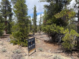 341 Lodgepole Dr Leadville, CO 80461