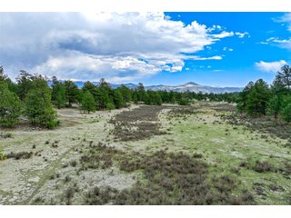 103 Doe Valley Rd Guffey, CO 80820