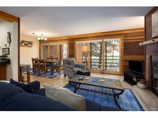 91100 Ryan Gulch Rd 91105 Silverthorne, CO 80498
