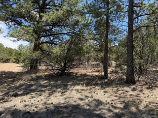 477 Bear Peak Rd Westcliffe, CO 81252