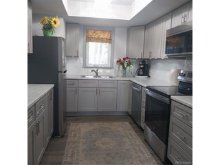 250 Cove Blvd 3 Dillon, CO 80435