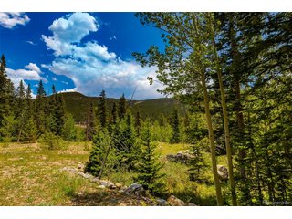 522 Quartzville Rd Alma, CO 80420