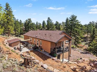 45 Valley Cir Divide, CO 80814