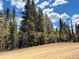 324 Bauxite Ln Fairplay, CO 80440