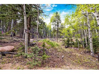 714 Will Stutley Dr Divide, CO 80814