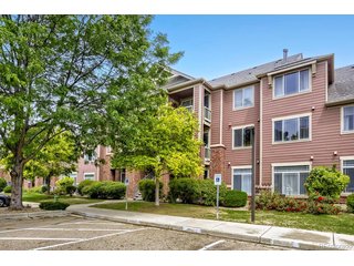 804 Summer Hawk Dr 5207 Longmont, CO 80504