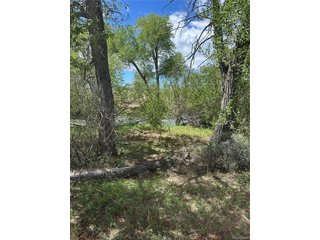 109 Alamosa River Estates Capulin, CO 81124