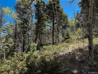 2348 Benton Pl Fort Garland, CO 81133