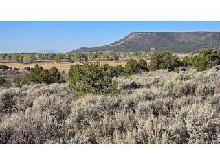 3714 Hartgrave Rd Fort Garland, CO 81133