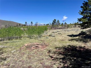 1102 Emery Loop Fort Garland, CO 81152