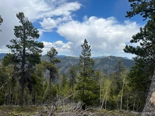 2 Sunny Skies Trl Idaho Springs, CO 80452