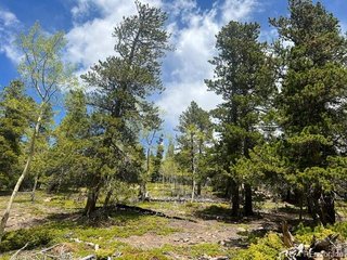 1 Sunny Skies Trl Idaho Springs, CO 80452