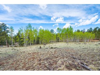 57 Beaver Creek Dr Lake George, CO 80827