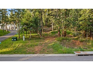 8125 Bannock Dr Larkspur, CO 80118