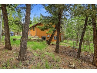 175 Mount Bailey Dr Bailey, CO 80421
