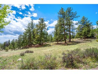 527 Plateau Dr Guffey, CO 80820