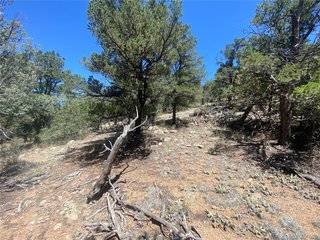 142 17th Trl Cotopaxi, CO 81223