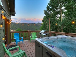 1095 Quartzville Rd Alma, CO 80440