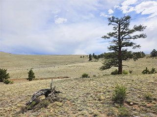 24131 Chato Rd Hartsel, CO 80449