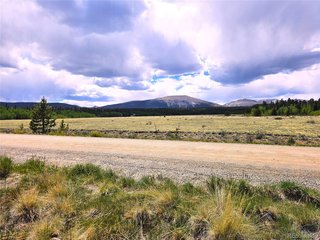38033 Foxtail Dr Fairplay, CO 80440