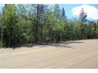 6050 Virginia Canyon Rd Central City, CO 80427