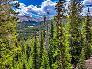 105 Quandary View Ln Breckenridge, CO 80424