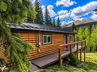 467 Nuthatch Dr Alma, CO 80420