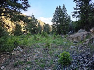1784 Main Georgetown, CO 80444