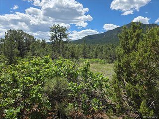 0 County Road 15 Florence, CO 81226