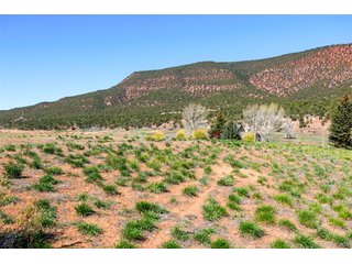 375 Red Fox Dr Gypsum, CO 81637