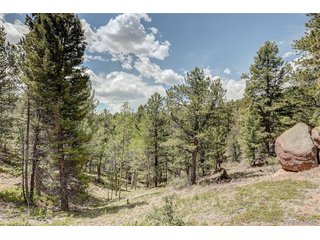 59 Robin Pt Divide, CO 80814