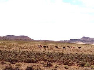 40 County Rd 27 San Acacio, CO 81151