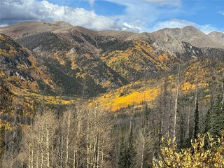 18462 Bowman Buena Vista, CO 81211